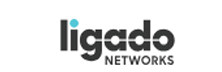 Ligado Networks 