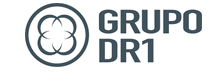 DR1 Group