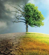 The Impact of Climate Change on Global Ocean Economies