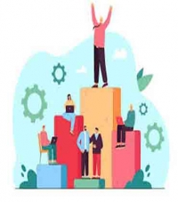 Insights On Building A Successful Organzation