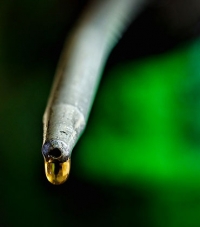 Eco-Friendly Lubrication Takes Hold in European Industry