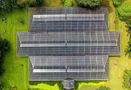 How Technology Can Assist in Environmental Preservation