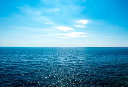 Top 3 Technologies That Can Help Study Oceans Better
