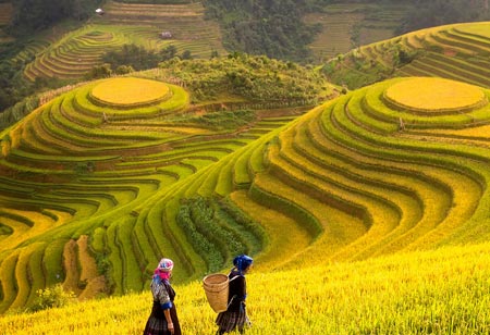 How 7ECO is Using Digital Transformation to Improve Agriculture Sector in Vietnam