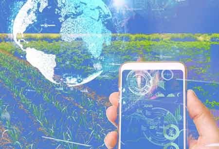Nanotechnology Enhances Food Safety
