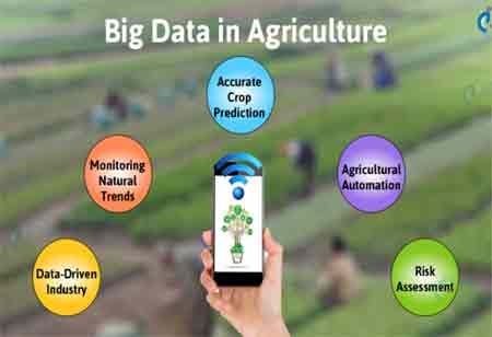 How Big Data is Revolutionizing the Agricultural Sector