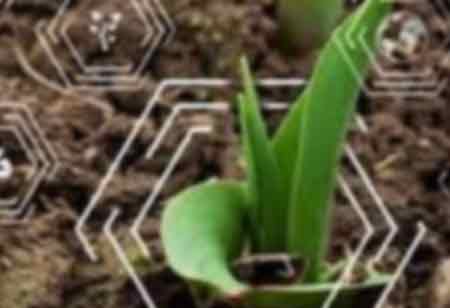 Is IoT the Future of Agriculture?