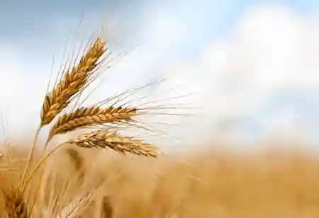 Why Climate-Smart Agriculture Methods are Critical to Farming