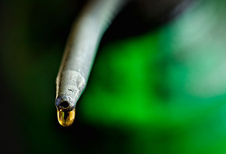 Eco-Friendly Lubrication Takes Hold in European Industry