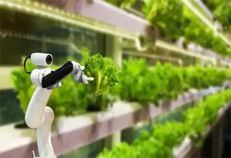 How Innovative Robotics Trends Can Revolutionize Agriculture