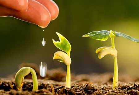 How Important is it to Build Farmer-Centered Designs?