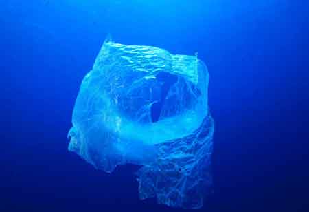 Cleaning Up Environment with the Help of Technology