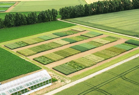 GrowerIQ Develops World's First Biotic Sensor for Crop Loss Prevention
