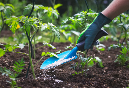 Nanotechnology in the Production of Fertilizers