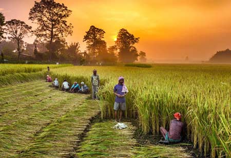 How AgTech Helps Farmer Co-Ops  