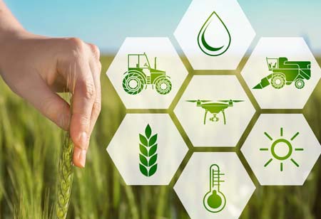 What You Should Know About Agriculture 4.0  