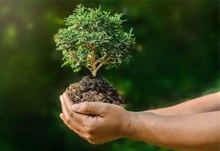 The Role of Technology in Protecting the Environment