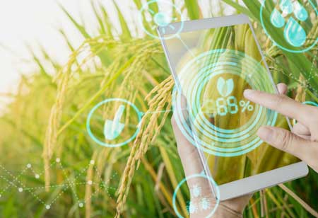Rockstart Allocates €3M for its First-Ever Agtech-Focused Program