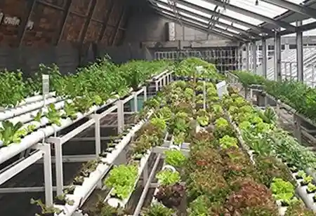 How New Agriculture Technology Is Transforming Modern Farming