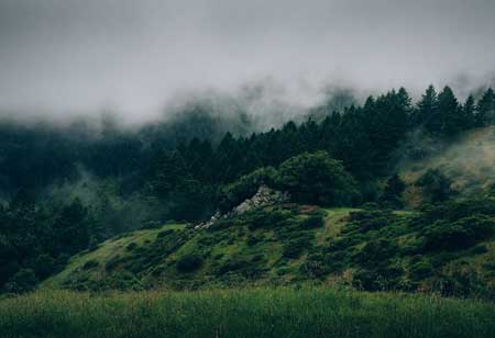£3bn UK climate finance to be spent on supporting nature