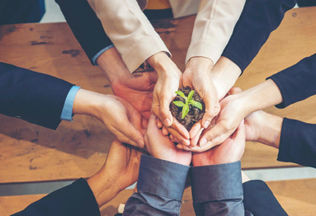Go Green with these Simple Measures, Enhancing Sustainability