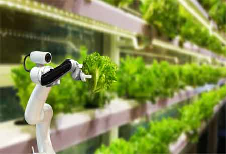 Technology Trends that can Transform Agriculture